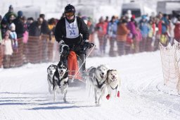Lenk 2013